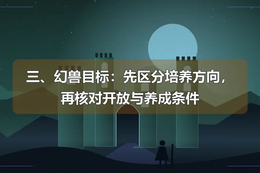 雪夜城堡与城门,前景旅者剪影,原创魔幻冒险主题插画